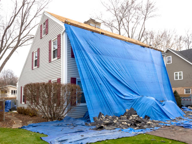 Best Residential Junk Removal  in Holden, MO