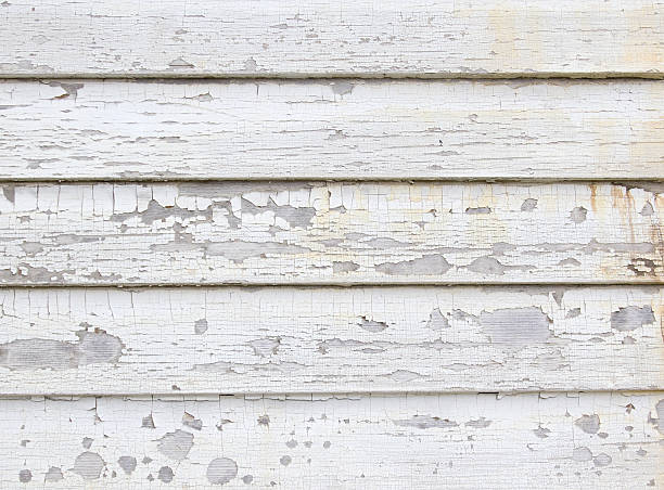 Best Same-Day Junk Removal Services  in Holden, MO