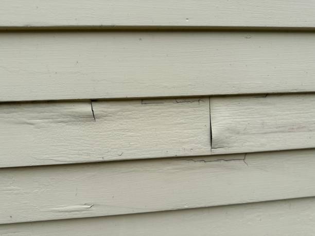 Best Shed Removal  in Holden, MO